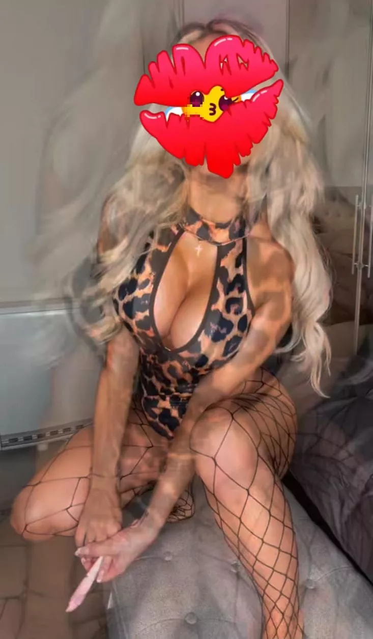 המושלמת של חיפה - דירות דיסקרטיות בחיפה