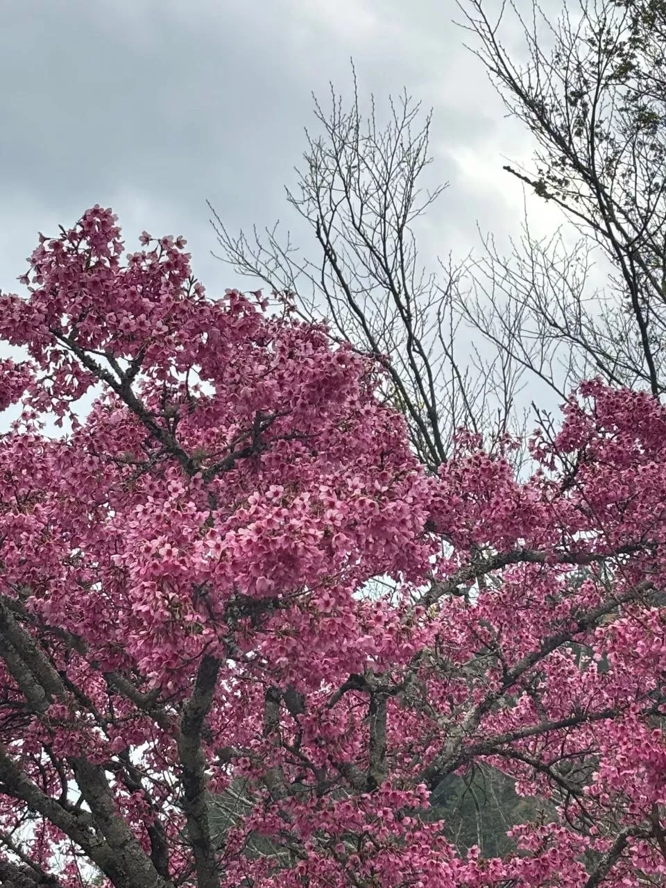 מזמינה אותך בבאר שבע