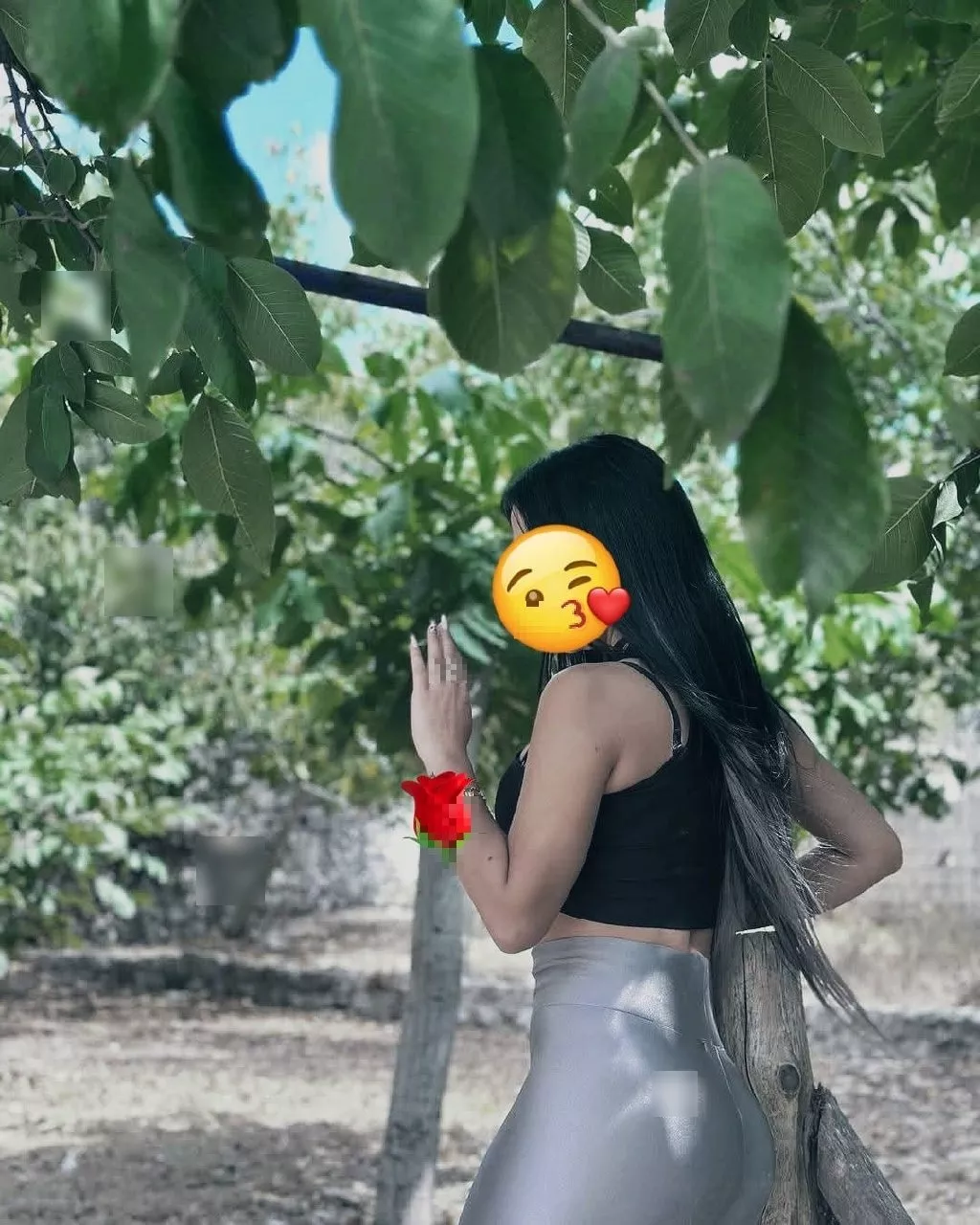 ערביה יפה בצפון - קריות
